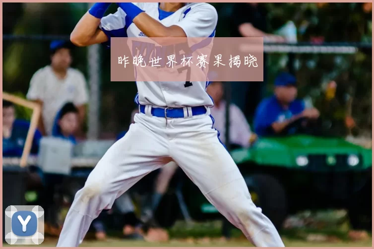 昨晚世界杯赛果揭晓