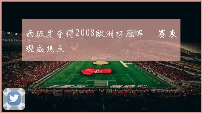 西班牙夺得2008欧洲杯冠军 決赛表现成焦点
