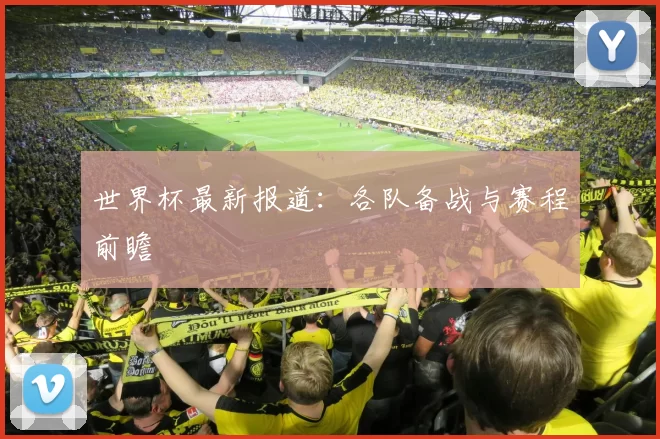 世界杯最新报道：各队备战与赛程前瞻
