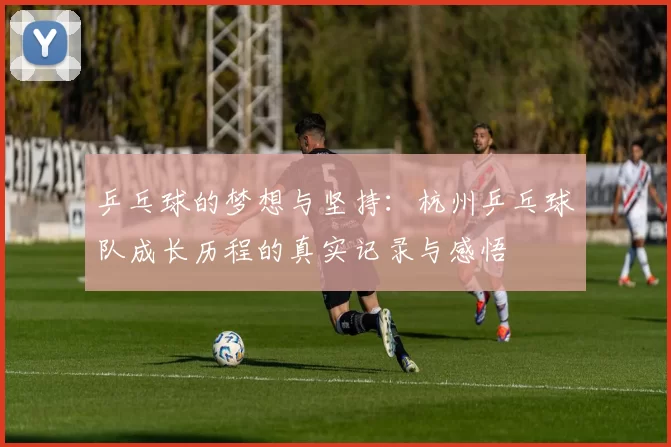 乒乓球的梦想与坚持：杭州乒乓球队成长历程的真实记录与感悟