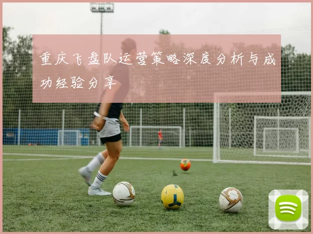 重庆飞盘队运营策略深度分析与成功经验分享