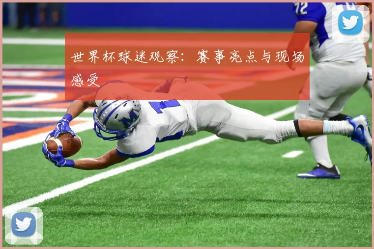 世界杯球迷观察:赛事亮点与现场感受