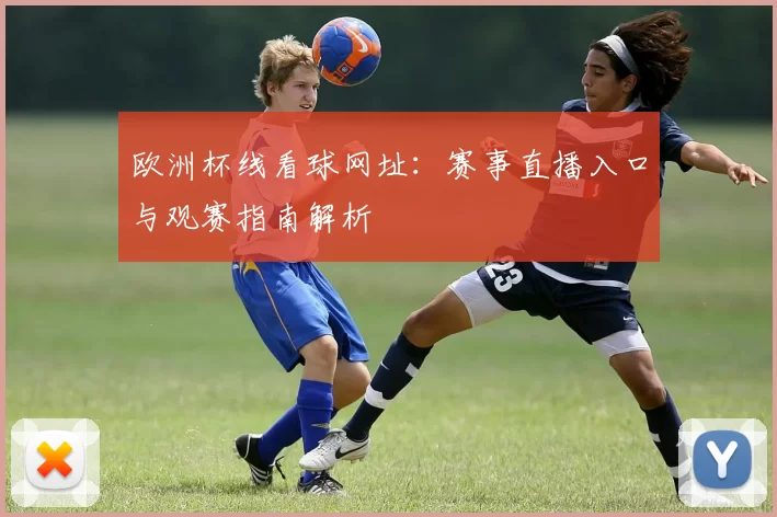 欧洲杯线看球网址：赛事直播入口与观赛指南解析
