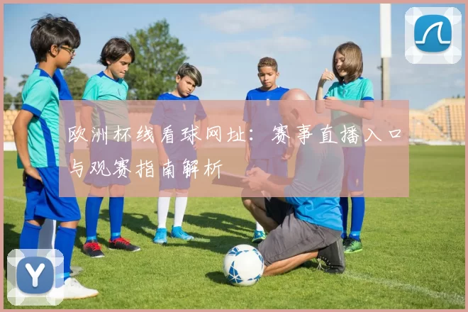 欧洲杯线看球网址：赛事直播入口与观赛指南解析