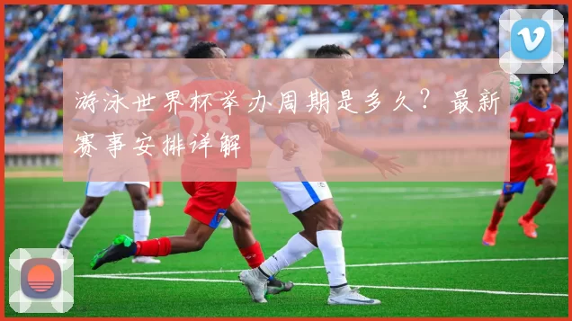 游泳世界杯举办周期是多久？最新赛事安排详解