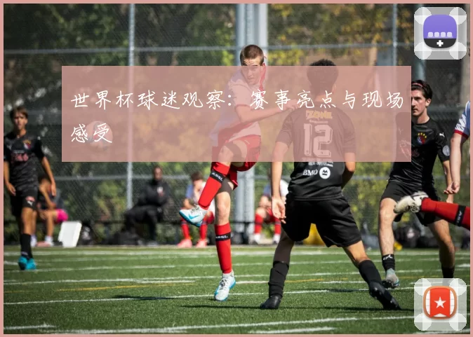 世界杯球迷观察：赛事亮点与现场感受