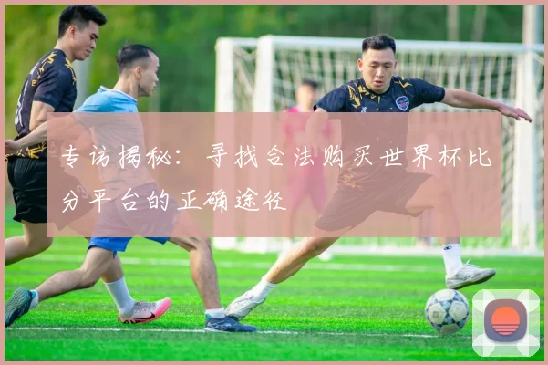 专访揭秘：寻找合法购买世界杯比分平台的正确途径