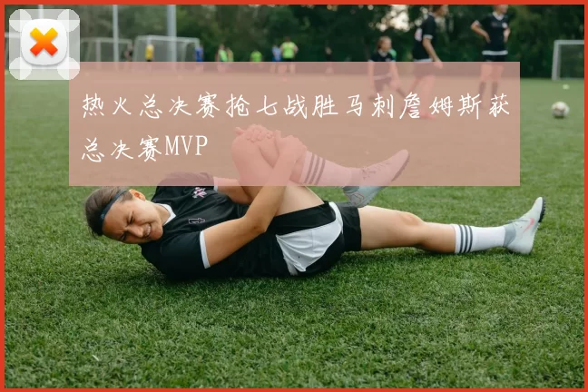 热火总决赛抢七战胜马刺詹姆斯获总决赛MVP