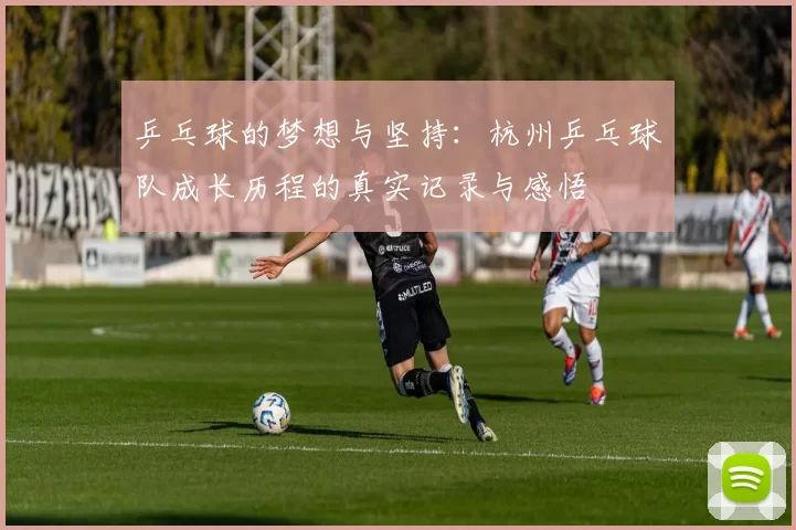 乒乓球的梦想与坚持：杭州乒乓球队成长历程的真实记录与感悟